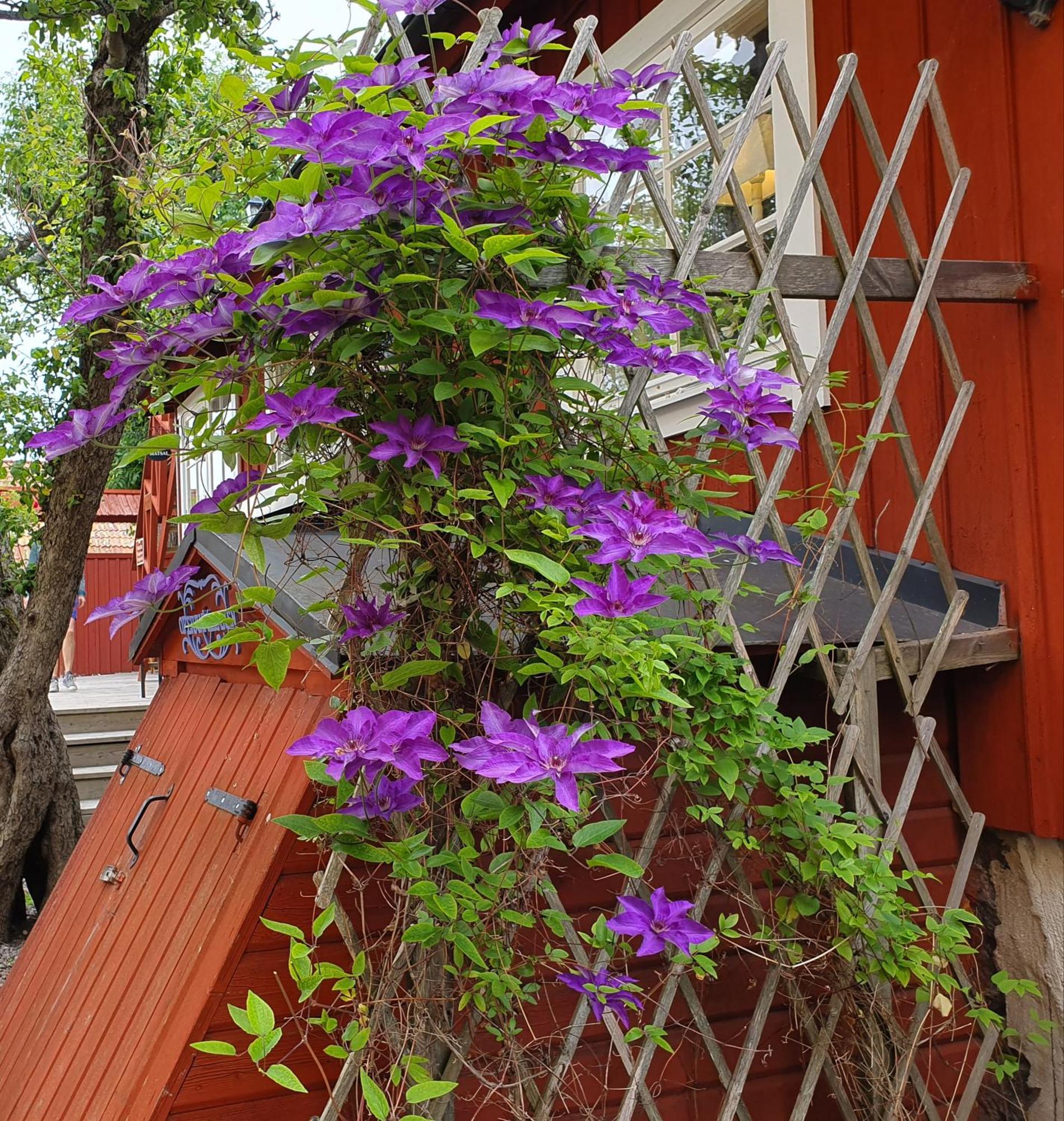 Hotel Gardshotell Klockargarden Oregrund